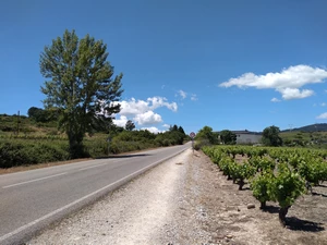 Camino Francés entre Cacabelos et Villafranca del Bierzo