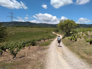 Camino Francés entre Cacabelos et Villafranca del Bierzo