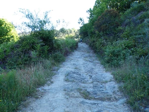 Camino Francés entre Villafranca del Bierzo et Pradela