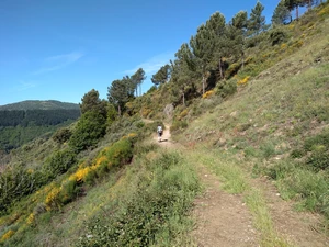 Camino Francés entre Villafranca del Bierzo et Pradela