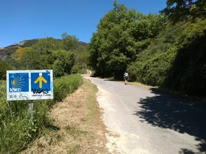 Camino Francés entre Trabadelo et La Portela