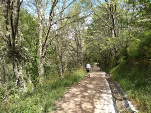 Camino Francés entre Las Herrerías et La Faba