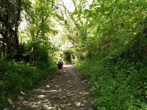Camino Francés entre Las Herrerías et La Faba
