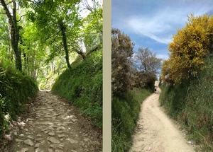 Camino Francés entre La Faba et O Cebreiro