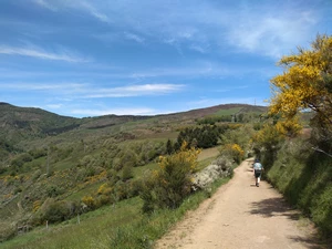 Camino Francés entre La Faba et O Cebreiro