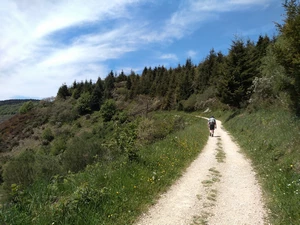 Camino Francés entre La Faba et O Cebreiro