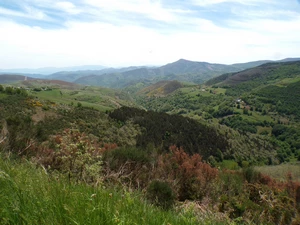 Camino Francés entre La Faba et O Cebreiro