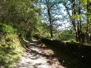 Camino Francés entre A Balsa et San Xil