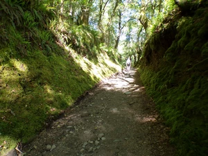 Camino Francés entre A Balsa et San Xil