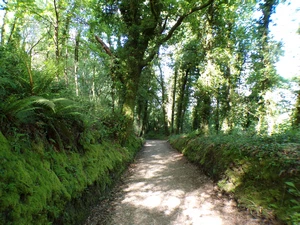 Camino Francés entre San Xil et Montán