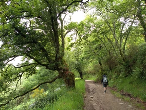 Camino Francés entre Montán et Furela