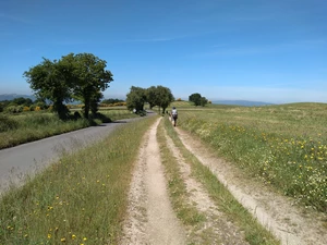 Camino Francés entre Furela et Pintin