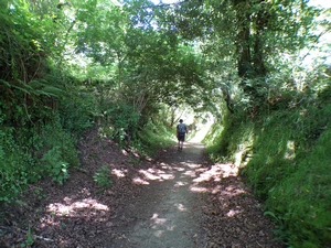 Camino Francés entre Furela et Pintin