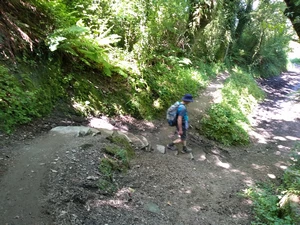 Camino Francés entre Pintin et Perros