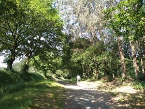 Camino Francés entre San Xulián do Camiño et Leboreiro