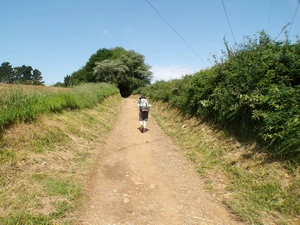 Camino Francés entre San Xulián do Camiño et Leboreiro