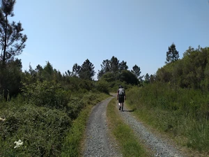 Camino Francés entre Leboreiro et Furelos