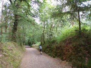 Camino Francés entre Santa María de Melide et Parabispo