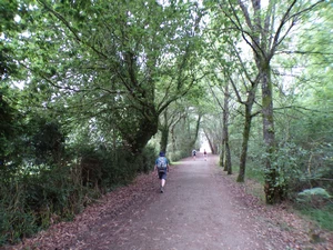 Camino Francés entre Santa María de Melide et Parabispo