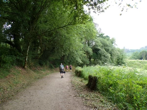 Camino Francés entre Boente et Castañeda