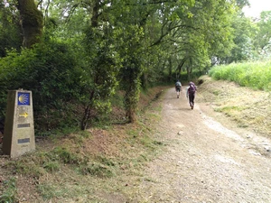 Camino Francés entre Boente et Castañeda