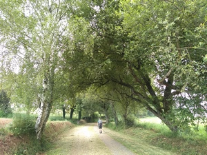 Camino Francés entre Boente et Castañeda
