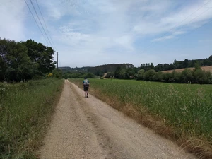 Camino Francés entre Castañeda et Ribadiso