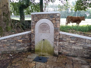 Camino Francés entre Ribadiso et Arzua