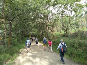 Camino Francés entre As Barrosas et Pregontoño