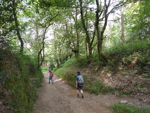 Camino Francés entre Pregontoño et A Peroxa