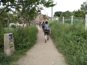 Camino Francés entre A Calle et A Salceda