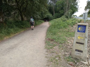 Camino Francés entre A Salceda et As Ras