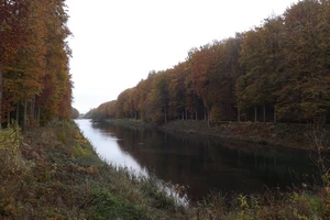 Streek-GR Dijleland : Tervuren, étang du Petit Canal