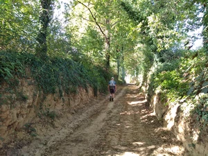 Streek-GR Dijleland entre Korbeek-Dijle et Bertem