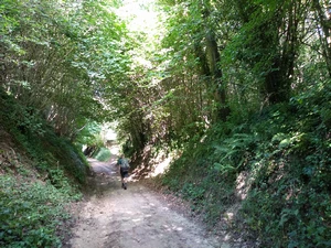 Streek-GR Dijleland entre Korbeek-Dijle et Bertem