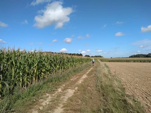 Streek-GR Dijleland entre Korbeek-Dijle et Bertem