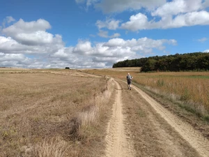 Streek-GR Dijleland entre Korbeek-Dijle et Bertem