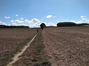 Streek-GR Dijleland entre Leefdaal et Neerijse