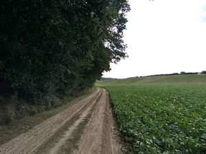 Streek-GR Dijleland entre Leefdaal et Neerijse