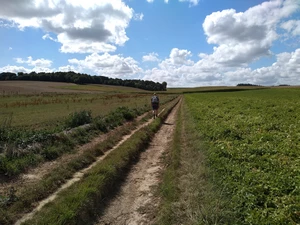Streek-GR Dijleland entre Leefdaal et Neerijse