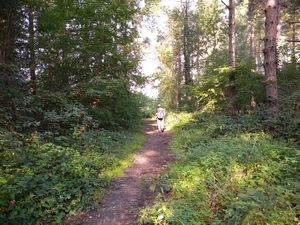 Koningshooikt, Brede Zeyp