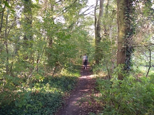 Koningshooikt, Brede Zeyp