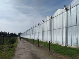 GR 12 entre Wavre-Notre-Dame et Bonheiden