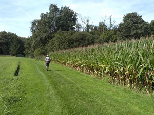 GR 12 entre Wavre-Notre-Dame et Bonheiden