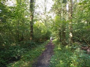 GR 12 dans le Peultenboss