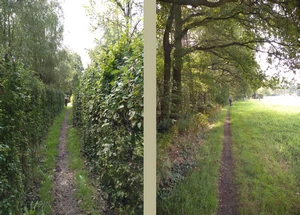 GR 12 entre Wavre-Notre-Dame et Bonheiden