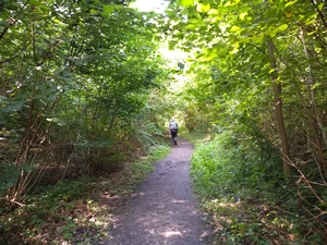 GR 12 dans le Krankhoevebos