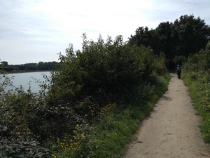 GR 12 dans le Mechels Broek