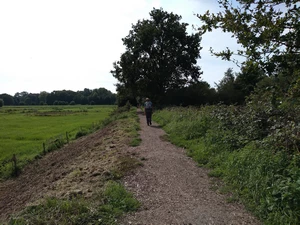 GR 12 dans le Mechels Broek