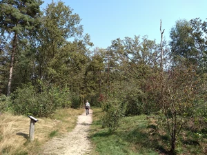 Kesselse Heide